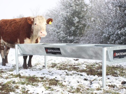 Batemans Badger proof troughs – DP Agri Ltd